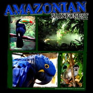 Amazonian Rainforest Marching Band sheet music cover